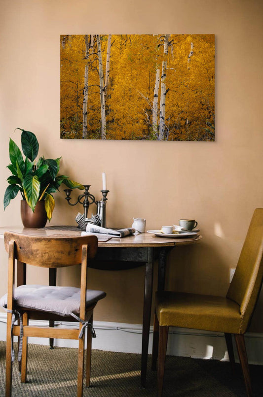 Colorado's Iconic Aspen Forest Fine Art Photo | Golden Fall Leaves Colors Print | Canvas Wall Art | Travel Picture paper, acrylic, metal