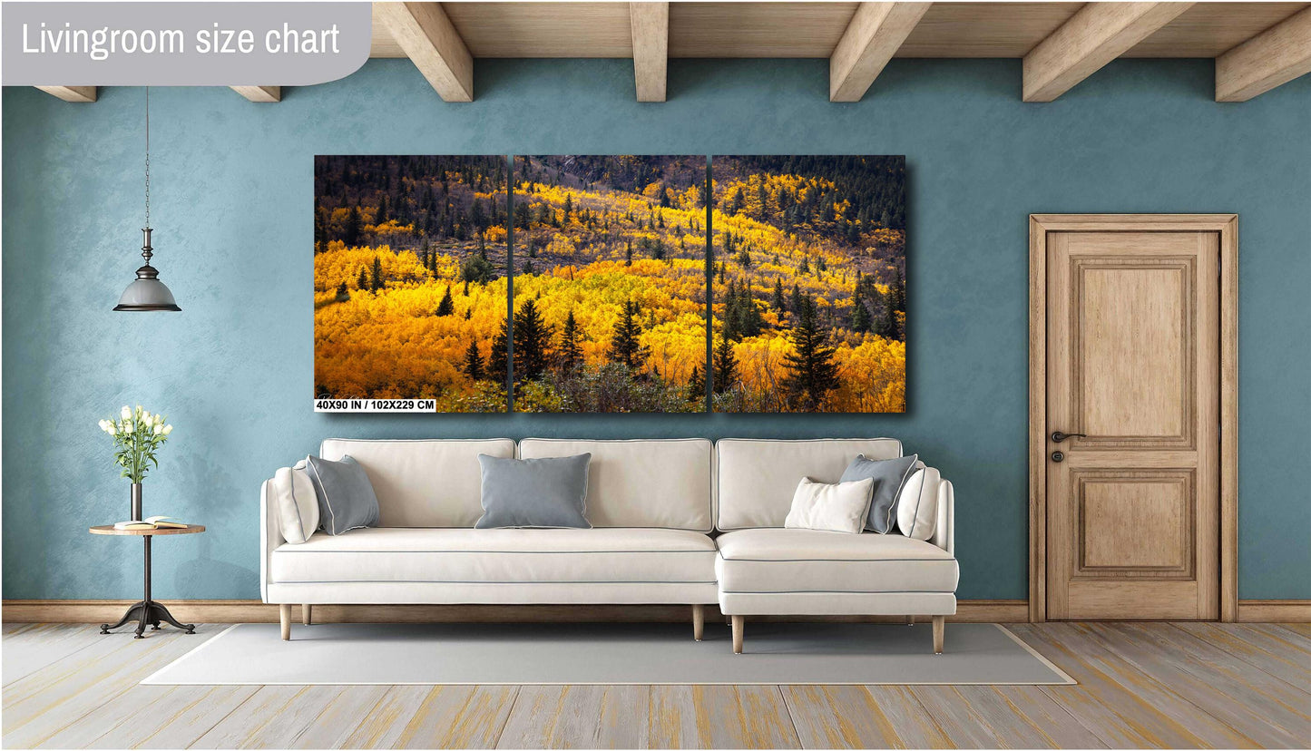 Colorado's Iconic Aspen River of Gold Fine Art Photo | Rocky Mountain Fall Colors Print | Canvas Wall Art | Picture paper, acrylic, metal