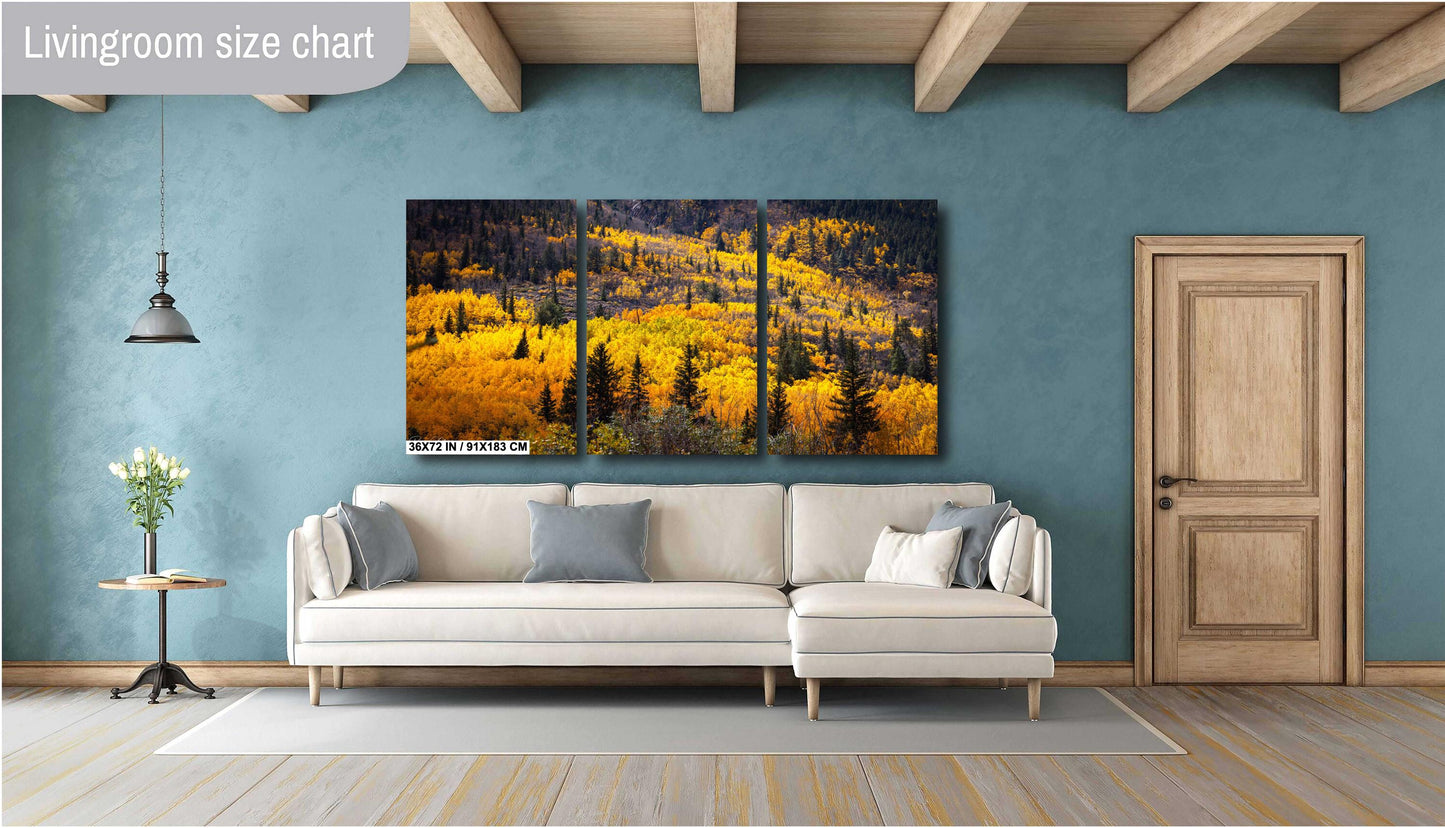 Colorado's Iconic Aspen River of Gold Fine Art Photo | Rocky Mountain Fall Colors Print | Canvas Wall Art | Picture paper, acrylic, metal