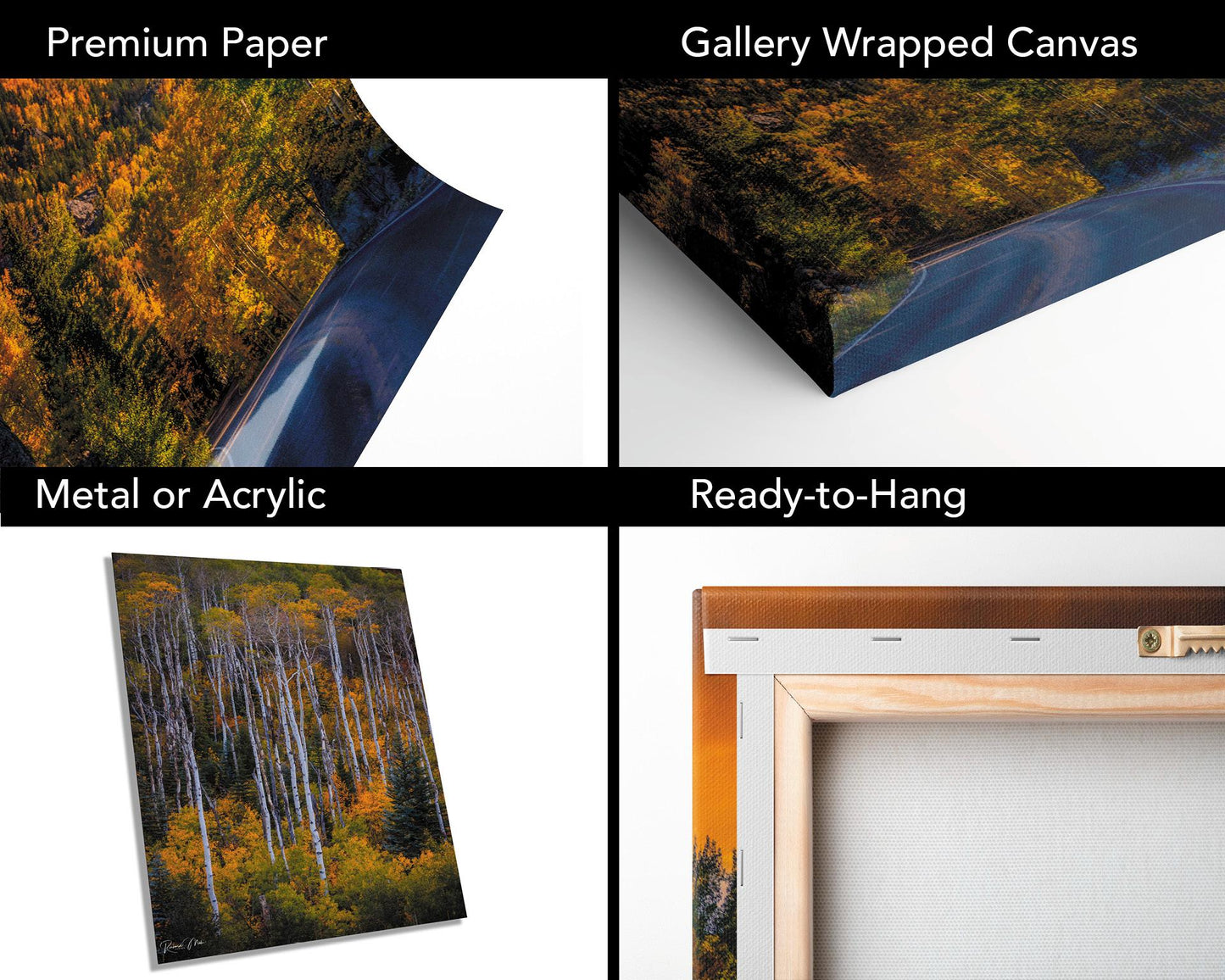 Colorado's Iconic Aspen Forest Road Rocky Mountain Fine Art Photograph | Fall Canvas Wall Art | Aspen Trees Picture paper, acrylic, metal