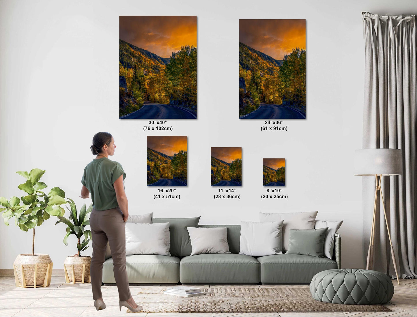Colorado's Iconic Aspen Forest Road Rocky Mountain Fine Art Photograph | Fall Canvas Wall Art | Aspen Trees Picture paper, acrylic, metal
