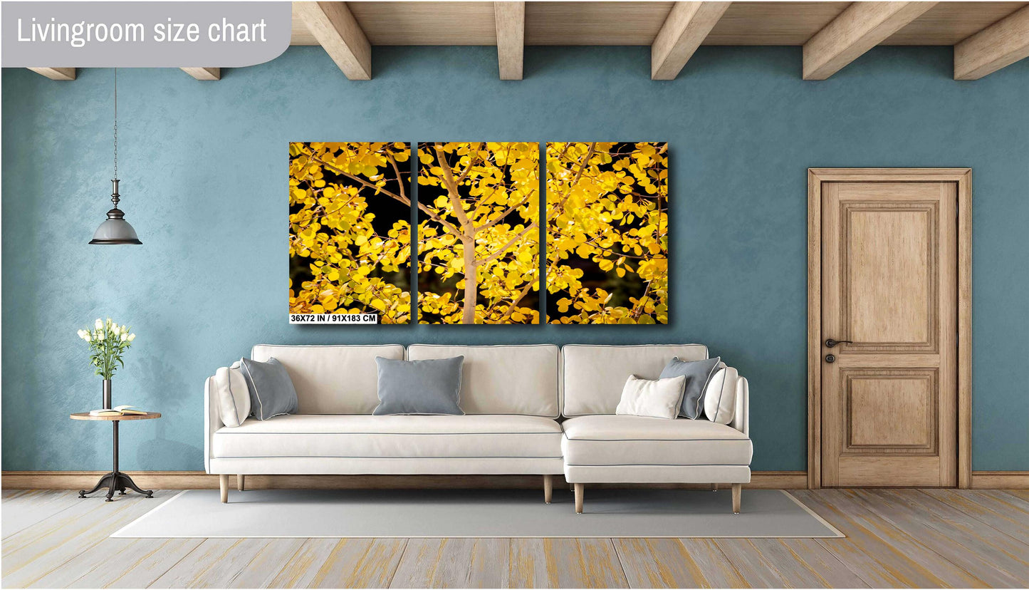 Colorado's Iconic Aspen Trees Fine Art Photo | Golden Fall Colors Print | Canvas Wall Art | Travel Picture paper, acrylic, metal