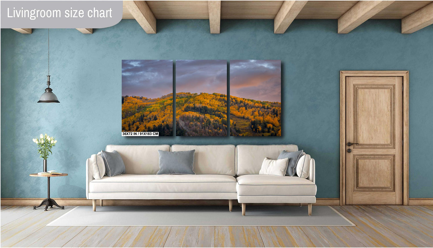 Colorado's Iconic Aspen Hillside Fine Art Photo | Rocky Mountain Sunset Fall Colors | Canvas Wall Art | Travel Picture paper, acrylic, metal