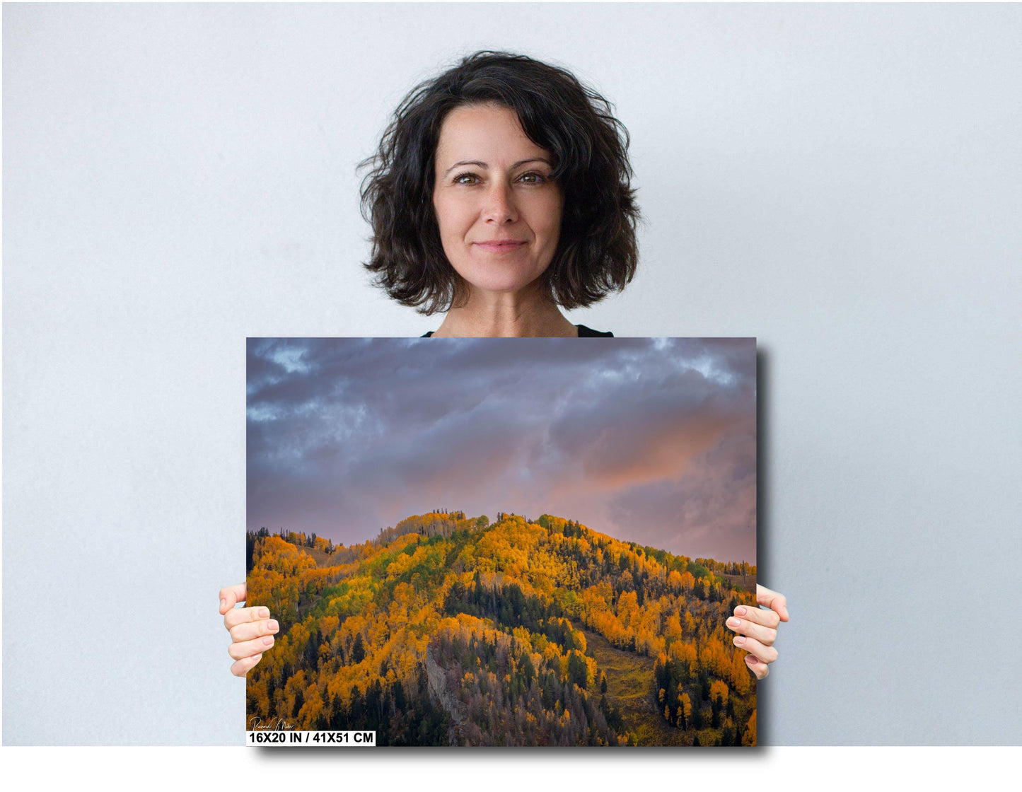 Colorado's Iconic Aspen Hillside Fine Art Photo | Rocky Mountain Sunset Fall Colors | Canvas Wall Art | Travel Picture paper, acrylic, metal