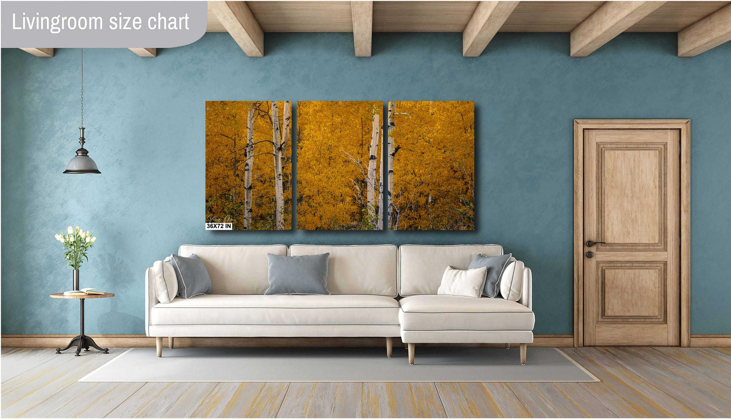 Colorado's Iconic Aspen Forest Fine Art Photo | Golden Fall Leaves Colors Print | Canvas Wall Art | Travel Picture paper, acrylic, metal