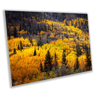 compare product Colorado's Iconic River of Aspen Gold Fine Art Photo | Rocky Mountain Fall Colors Print | Canvas Wall Art | Picture paper, acrylic, metal