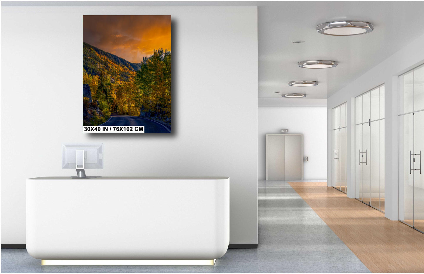 Colorado's Iconic Aspen Forest Road Rocky Mountain Fine Art Photograph | Fall Canvas Wall Art | Aspen Trees Picture paper, acrylic, metal