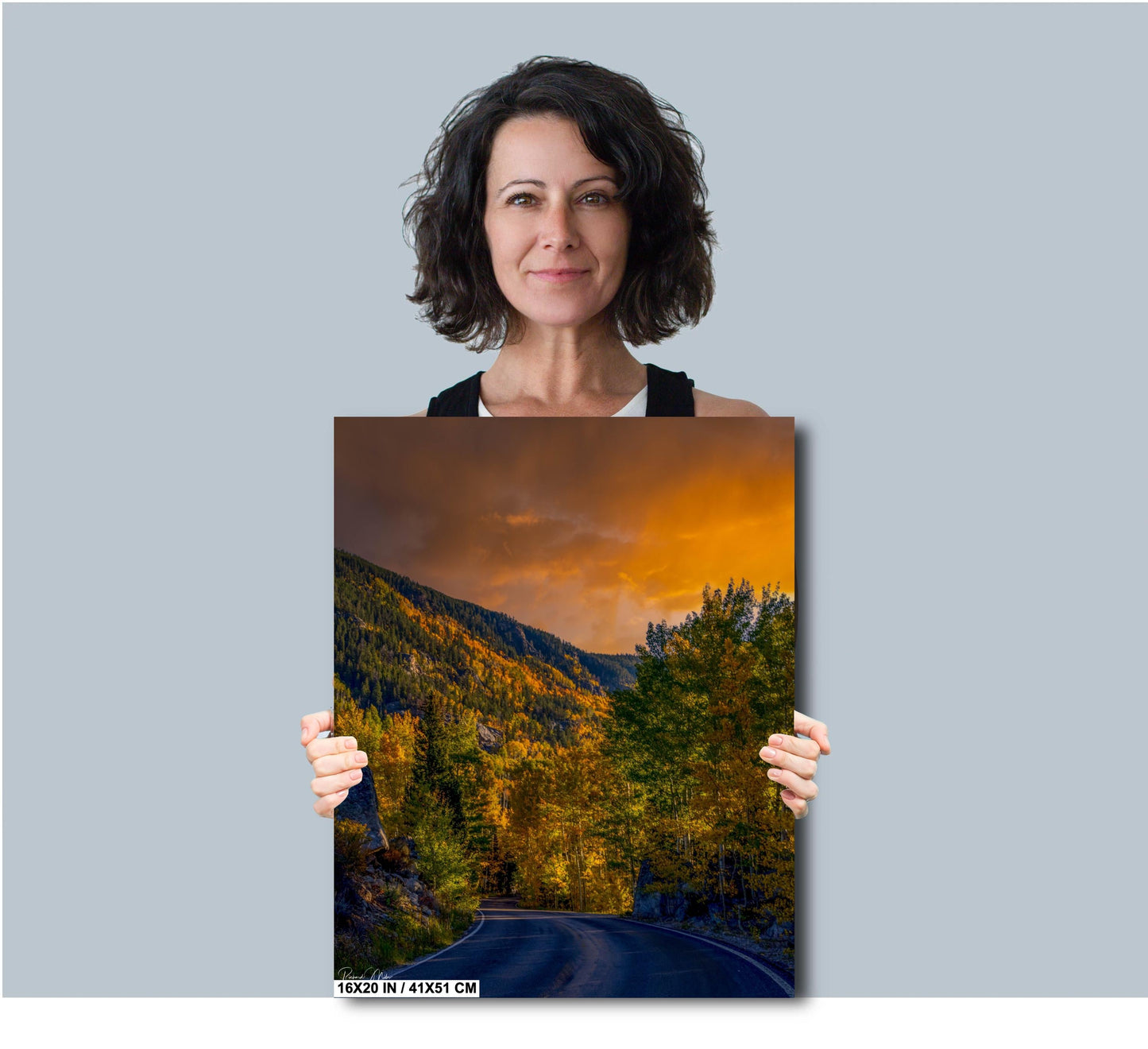 Colorado's Iconic Aspen Forest Road Rocky Mountain Fine Art Photograph | Fall Canvas Wall Art | Aspen Trees Picture paper, acrylic, metal