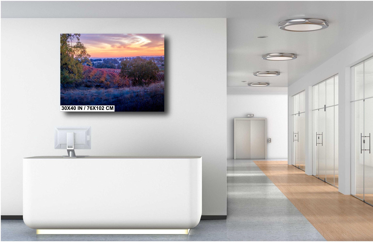 Winery Print, California Sunset Fall Amador County Schoolhouse Road Photo | Canvas Wall Art, Fine Art Photography | home decor, office decor