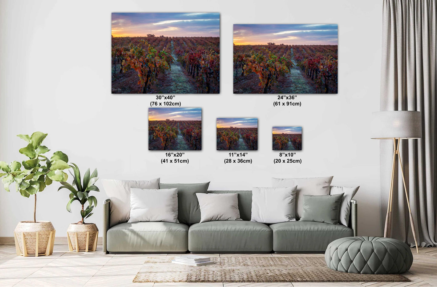 Winery Print, California Shenandoah Valley Vineyard with Sunset's Glow | Canvas Wall Art, Fine Art Photography | home office bar restaurant