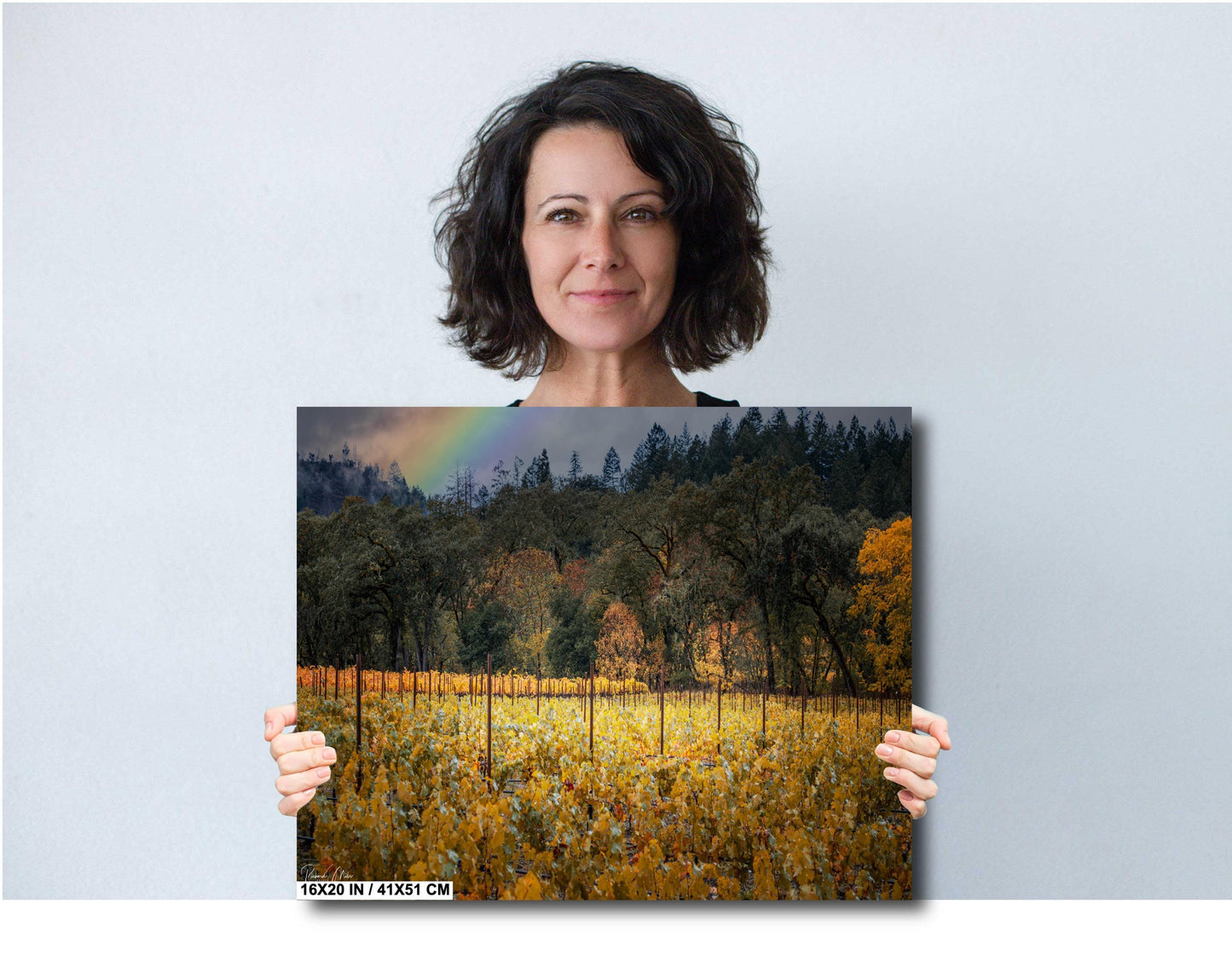 Winery Print, California Napa Valley Vineyard with Rainbow| Canvas Wall Art, Fine Art Photography | home office bar restaurant