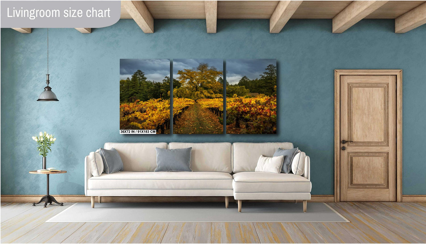 Winery Print, California Napa Valley Vineyard Autumn Canvas Wall Art, Fine Art Photography | home office bar restaurant