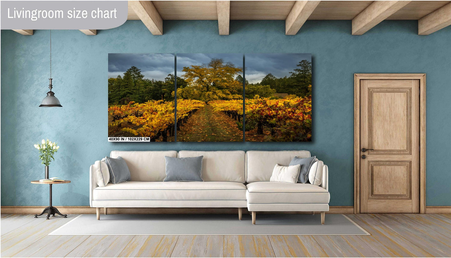 Winery Print, California Napa Valley Vineyard Autumn Canvas Wall Art, Fine Art Photography | home office bar restaurant