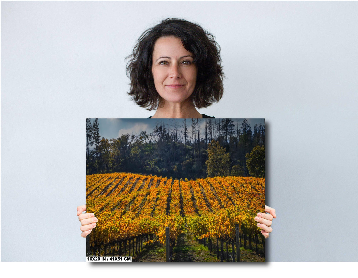Winery Print, California Napa Valley Vineyard Rolling Hills Autumn Canvas Wall Art, Fine Art Photography | home office bar restaurant