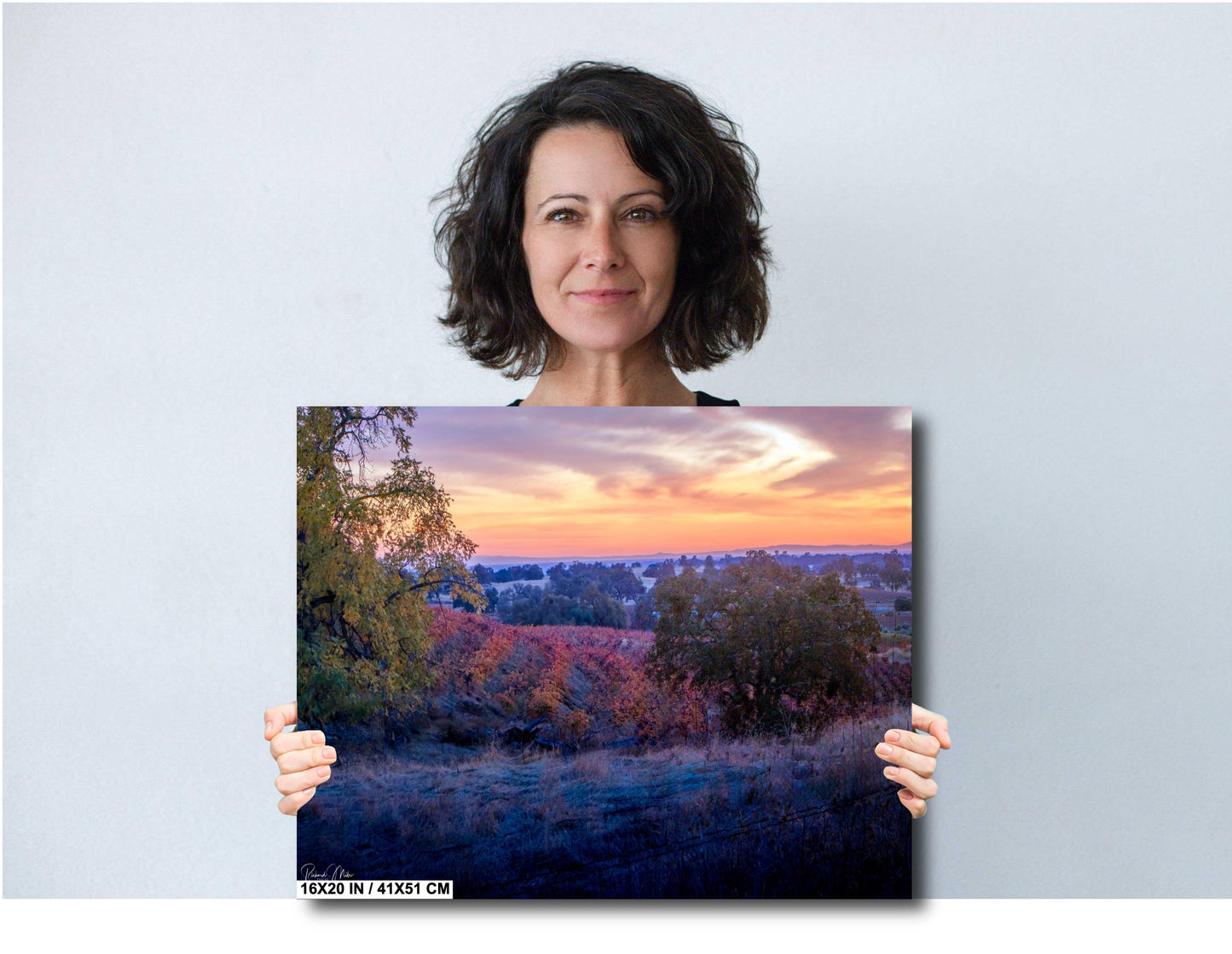 Winery Print, California Sunset Fall Amador County Schoolhouse Road Photo | Canvas Wall Art, Fine Art Photography | home decor, office decor