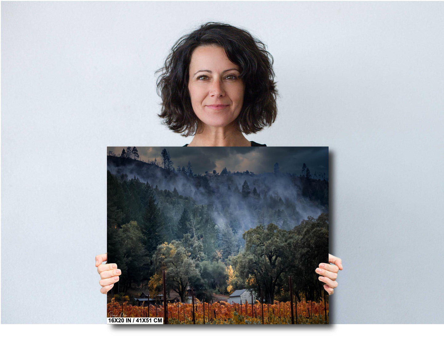 Winery Print, California Napa Valley Misty Vineyard Photo | Canvas Wall Art, Fine Art Photography | home decor, office decor