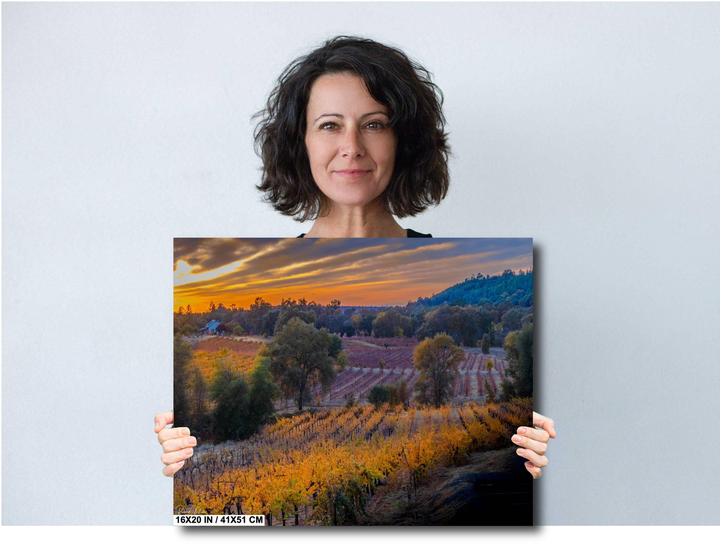 Winery Print, California Shenandoah Valley Iron Hub Fall Sunset | Canvas Wall Art, Fine Art Photography | home decor, office decor