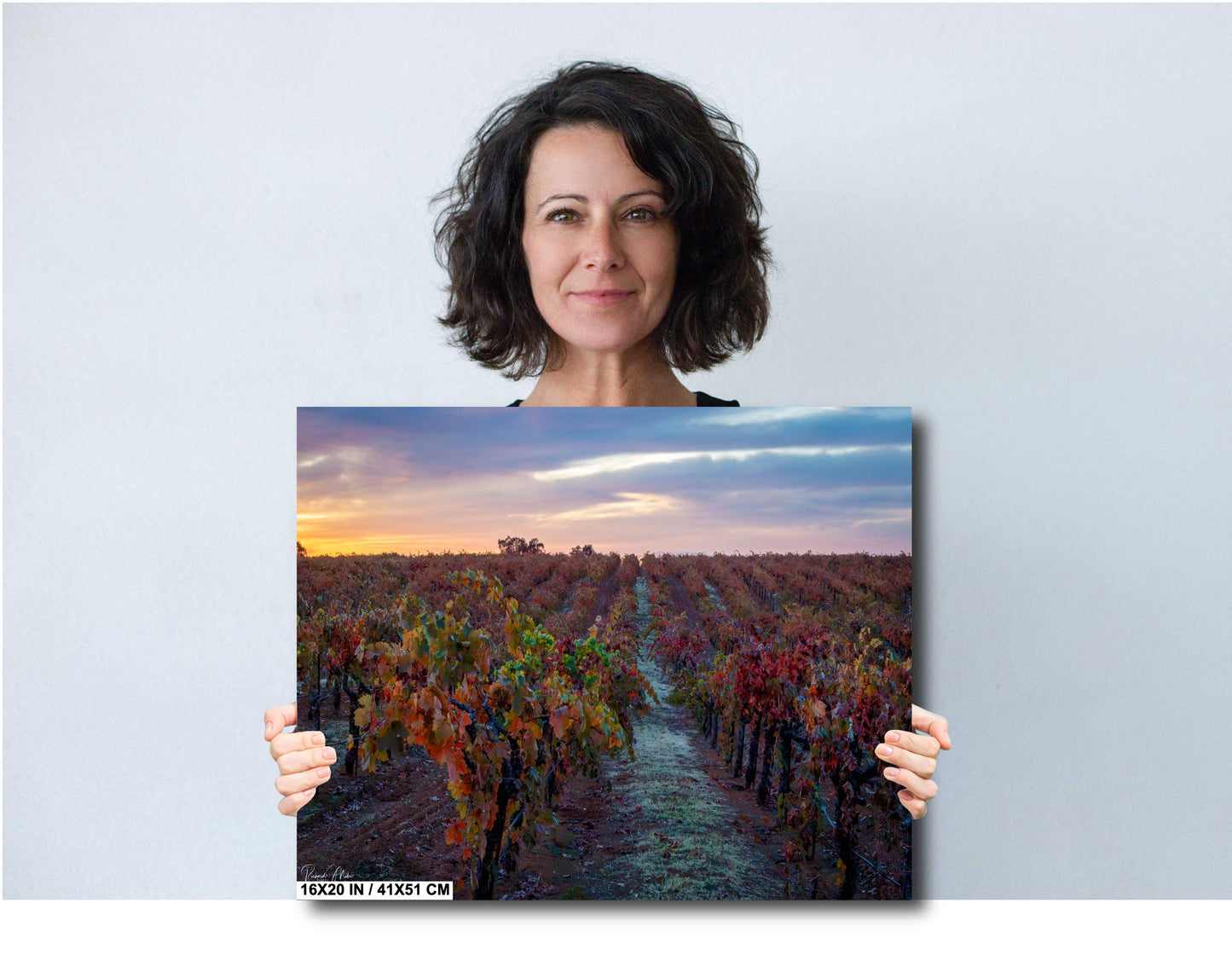 Winery Print, California Shenandoah Valley Vineyard with Sunset's Glow | Canvas Wall Art, Fine Art Photography | home office bar restaurant