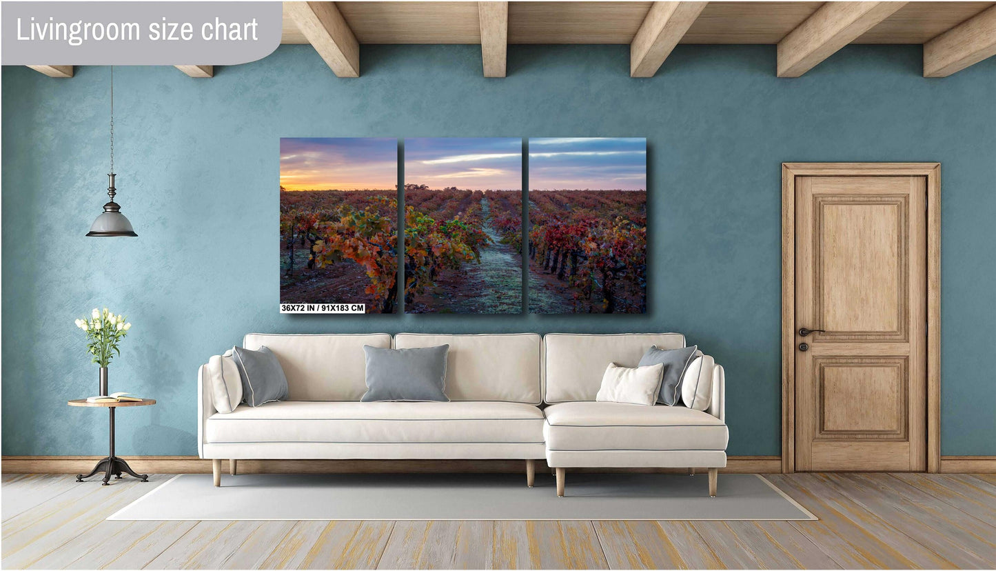 Winery Print, California Shenandoah Valley Vineyard with Sunset's Glow | Canvas Wall Art, Fine Art Photography | home office bar restaurant