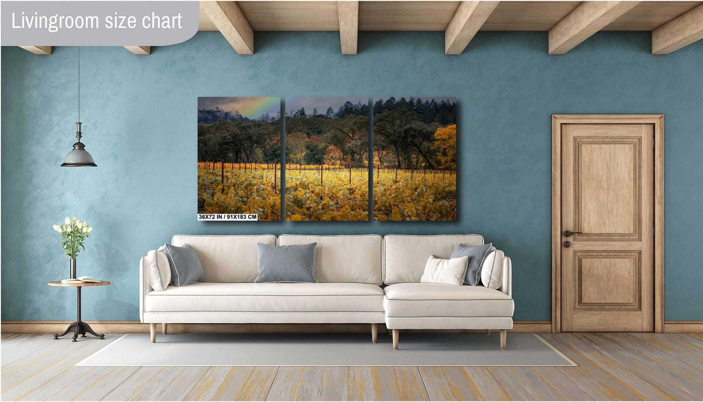 Winery Print, California Napa Valley Vineyard with Rainbow| Canvas Wall Art, Fine Art Photography | home office bar restaurant