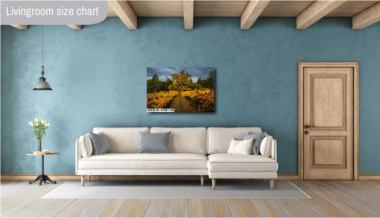 Winery Print, California Napa Valley Vineyard Autumn Canvas Wall Art, Fine Art Photography | home office bar restaurant