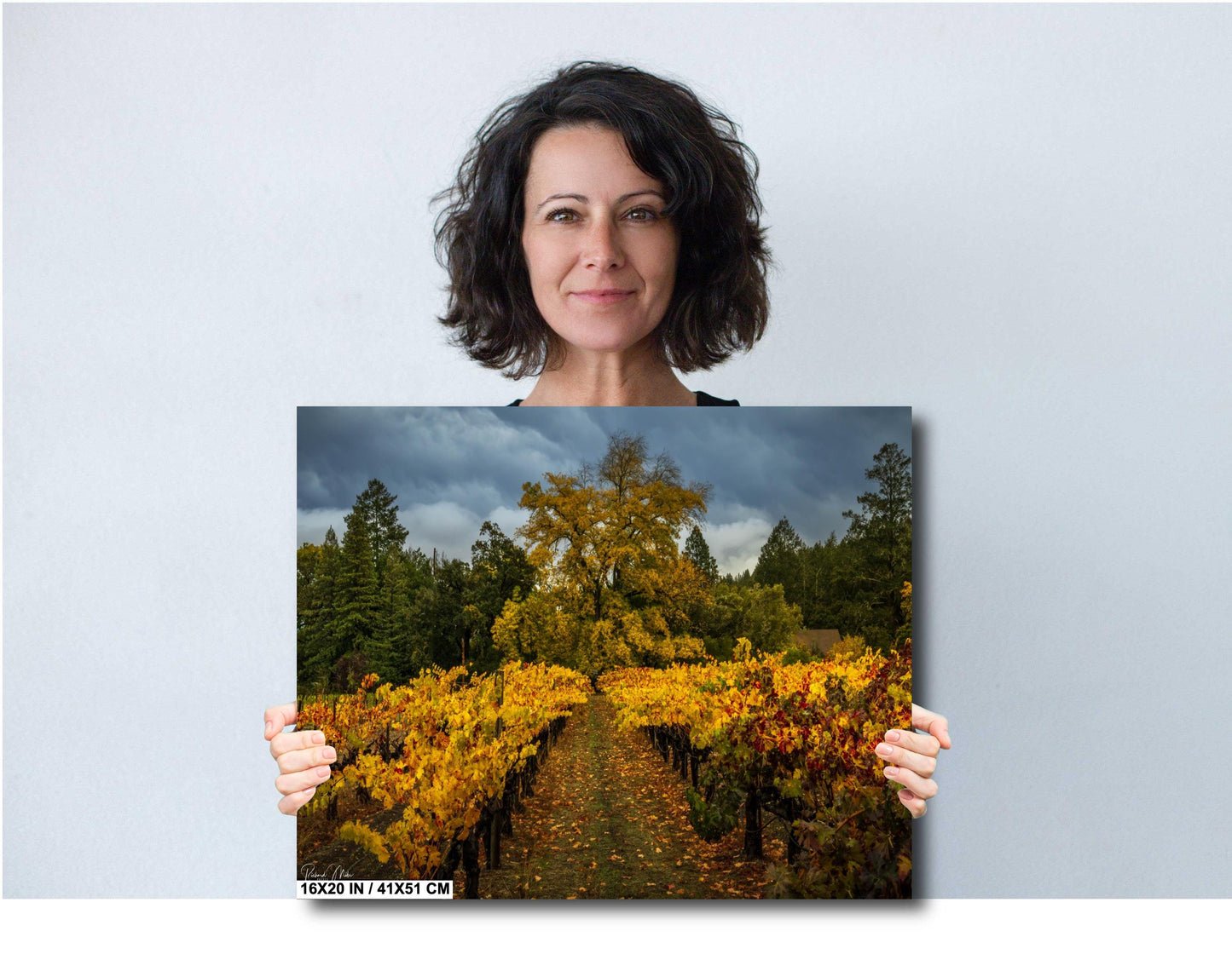 Winery Print, California Napa Valley Vineyard Autumn Canvas Wall Art, Fine Art Photography | home office bar restaurant