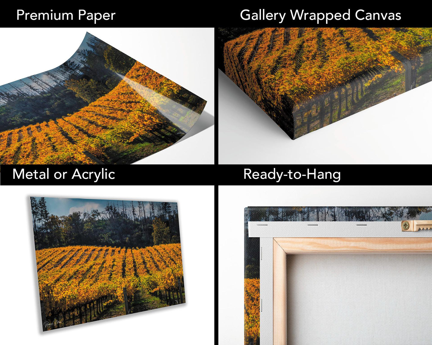 Winery Print, California Napa Valley Vineyard Rolling Hills Autumn Canvas Wall Art, Fine Art Photography | home office bar restaurant