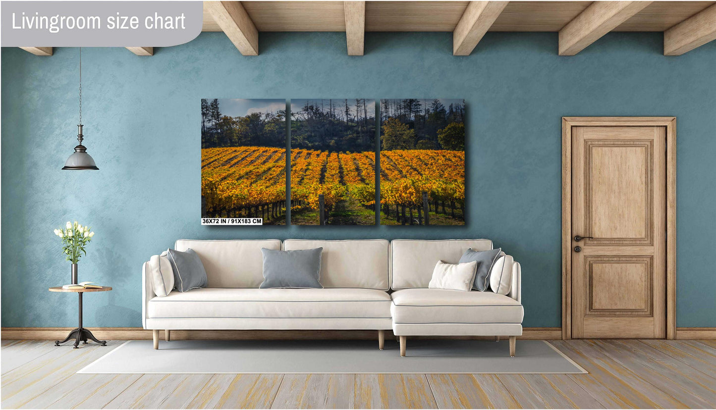 Winery Print, California Napa Valley Vineyard Rolling Hills Autumn Canvas Wall Art, Fine Art Photography | home office bar restaurant