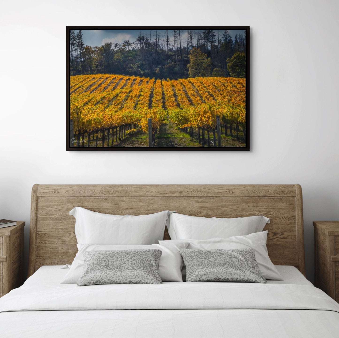Winery Print, California Napa Valley Vineyard Rolling Hills Autumn Canvas Wall Art, Fine Art Photography | home office bar restaurant