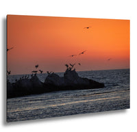 Half Moon Bay Sunset Print: Pelican Silhouettes, Pacific Ocean Art