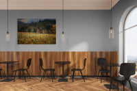 Napa Valley Vineyard Rainbow Print: California Fine Art Photography