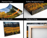 Napa Valley Vineyard Print: California Winery Fine Art Photography