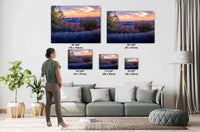 California Vineyard Sunset Print: Amador County Fine Art Photography