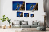 La Sagrada Familia Star Tower Photo Print: Barcelona Passion Tower View