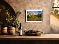 Napa Valley Vineyard Print: California Winery Fine Art Photography
