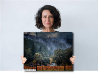 Napa Valley Vineyard Photo: Misty California Landscape Art Print