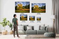 Napa Valley Vineyard Print: California Winery Fine Art Photography