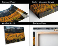 Napa Valley Vineyard Print: Autumn Rolling Hills Fine Art Photography