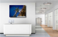 La Sagrada Familia Star Tower Photo Print: Barcelona Passion Tower View