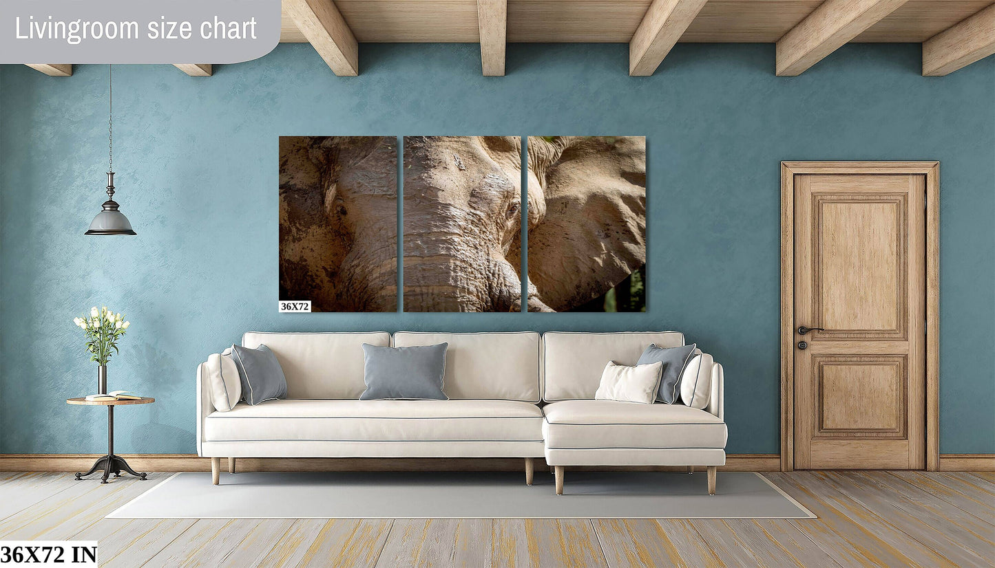 African Elephant, Wildlife Photography, stunning Canvas Animal Poster, Nature Wall Art, Fine Art Photography | home, office decor