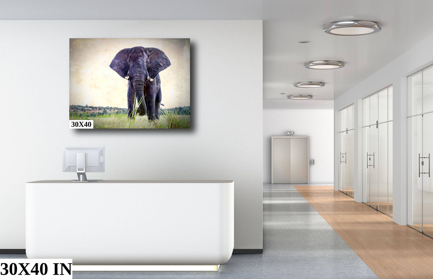 African Elephant, Wildlife Photography, Animal Photo Print, Nature Wall Art, Canvas Print, Acrylic print