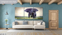 African Elephant, Wildlife Photography, Animal Photo Print, Nature Wall Art, Canvas Print, Acrylic print