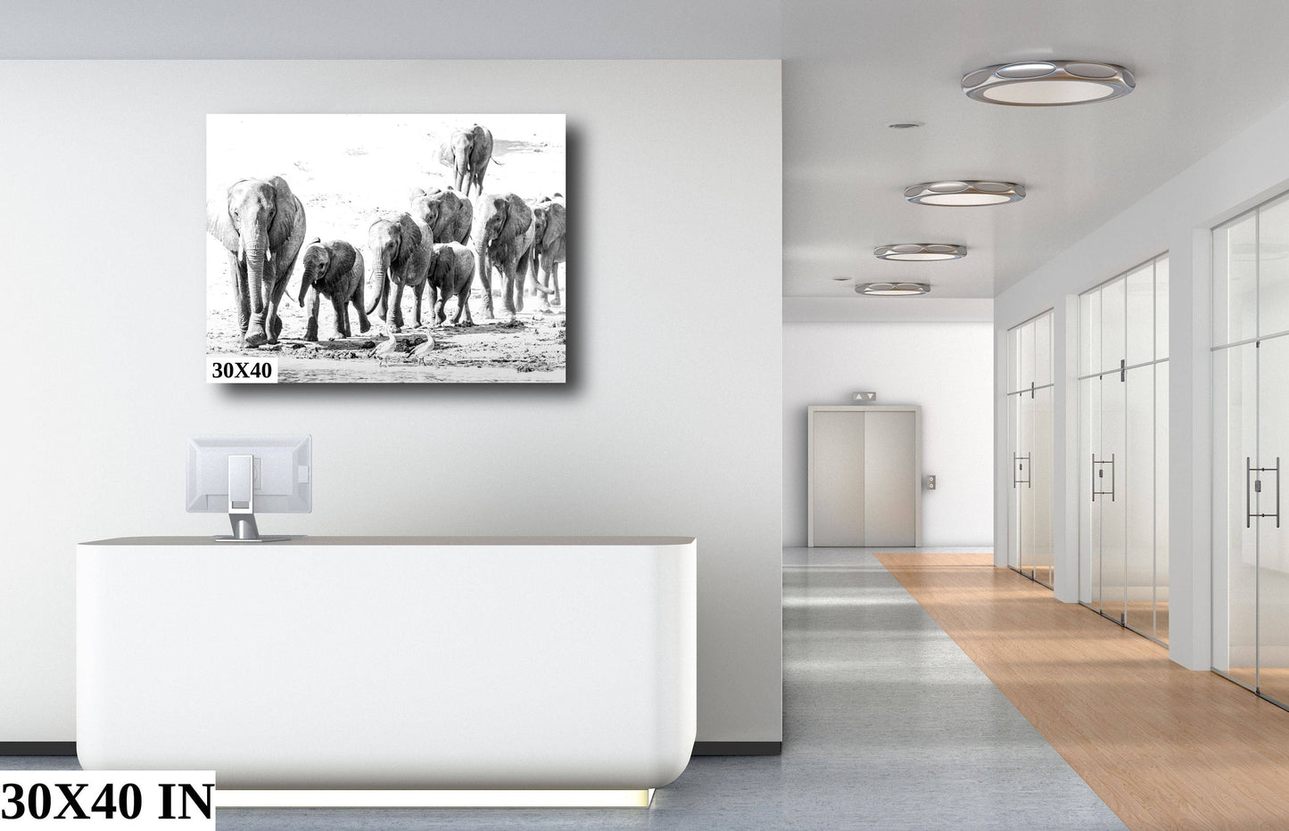 African Elephant, Wildlife Photography, Black and White Animal Poster, Nature Wall Art, Canvas Print, Acrylic print, Fine Art Photography