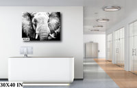 African Elephant, Wildlife Photography, Black and White Animal Poster, Nature Canvas Wall Art, Fine Art Photography, home, office decor