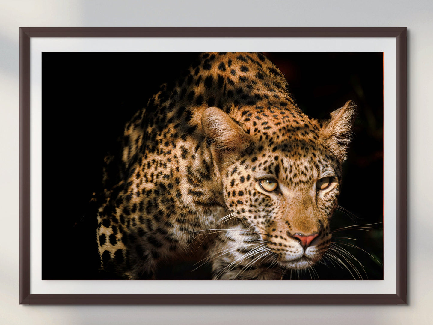 African Leopard Nature Wildlife Fine Art Photography | Big Cat Canvas Wall Art | Nature Poster | home, office decor paper, metal, acrylic