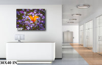 Poppies in Lupine Fine Art Photography| Antelope Valley California Superbloom Poster, Canvas Wall Art, Lupine Picture paper, acrylic, metal