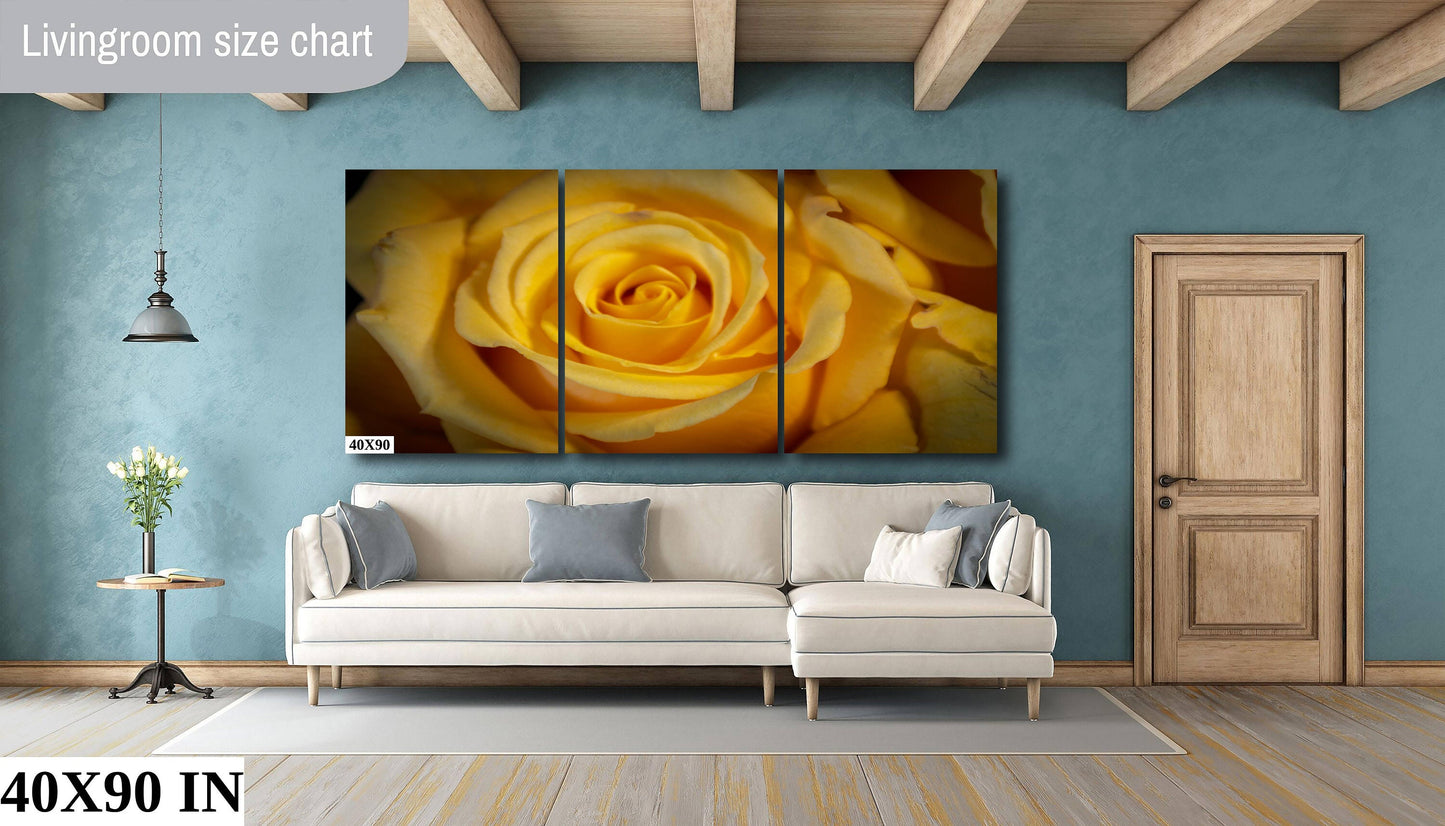 Yellow Rose | Sierra Foothills, Canvas Wall Art, home decor, Mother's Day, photography, acrylic, paper, flowers, rose