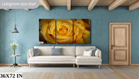 Yellow Rose | Sierra Foothills, Canvas Wall Art, home decor, Mother's Day, photography, acrylic, paper, flowers, rose