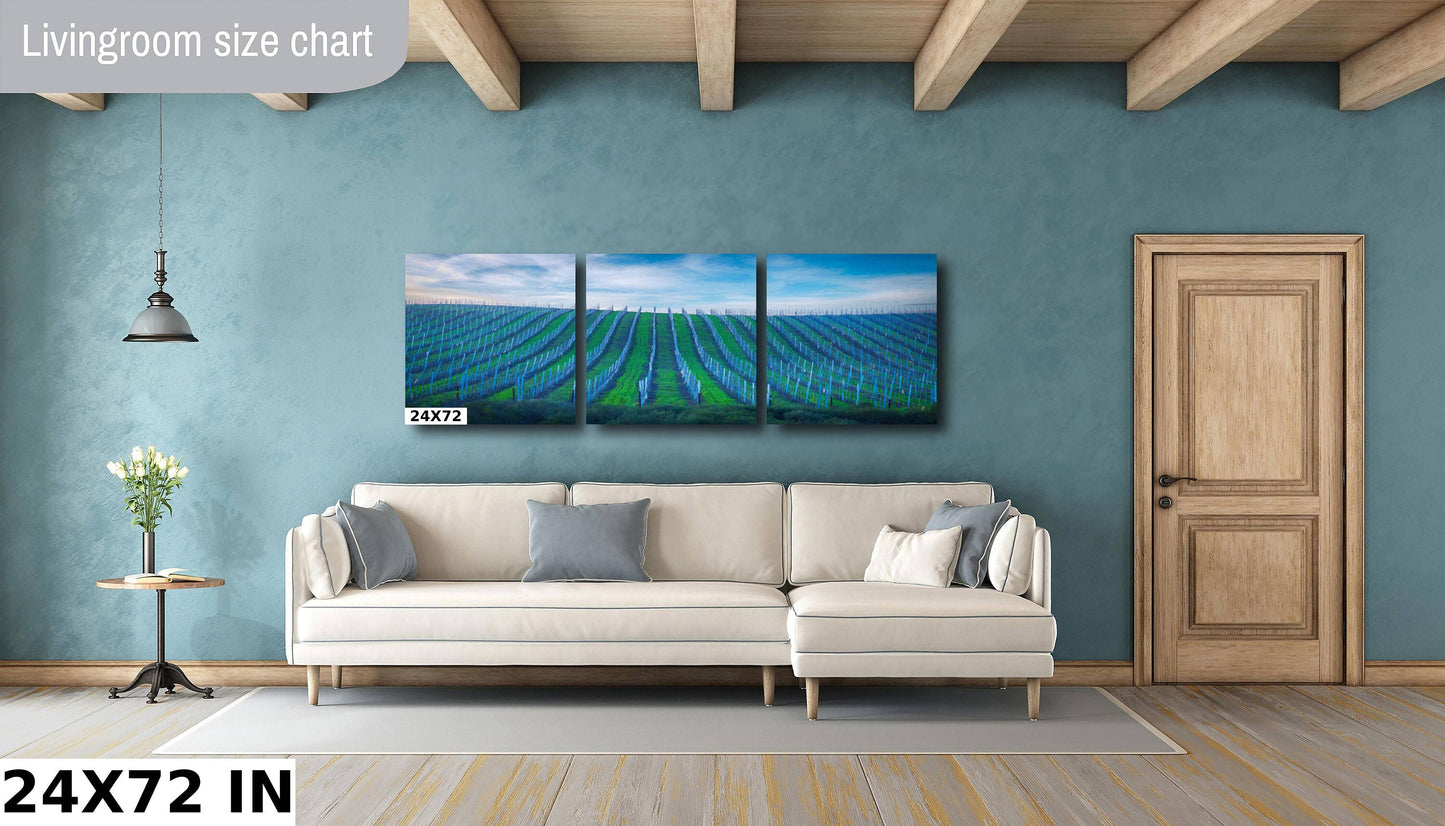 Vineyard Fine Art Photography, California Sonoma Wine Grapes Photo | Winery Canvas Wall Art, | Winery Poster, Acrylic, Metal, Paper