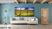 Vineyard Fine Art Photography, California Spring Sonoma Wine Grapes & Mustard Photo | Winery Canvas Wall Art, Acrylic, Metal, Paper